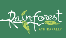 Rain Forest